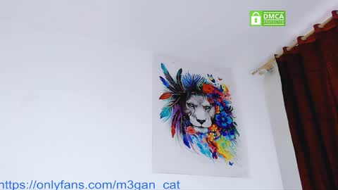 megan_cat online show from December 4, 12:07 pm