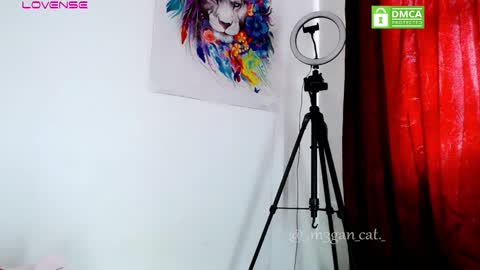 megan_cat online show from November 11, 6:38 pm