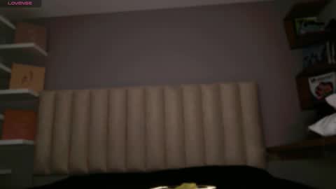     online show from February 2, 12:37 pm