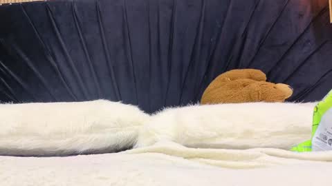 Megan online show from May 2, 5:49 pm