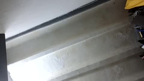 melodycharlotte online show from November 1, 12:20 pm