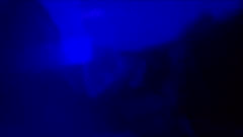 mialuisanasx online show from November 15, 3:18 am