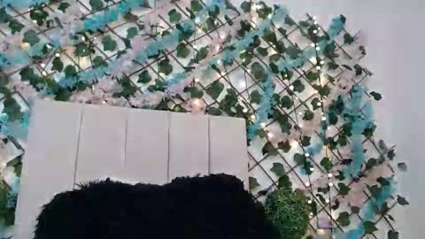 mila_adamss online show from January 15, 11:16 am