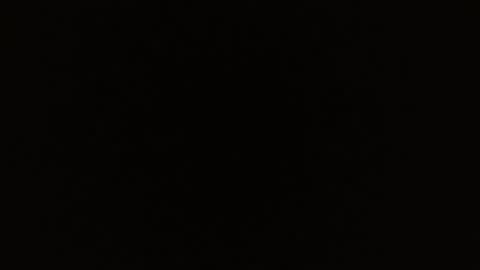 Rosalie  online show from March 1, 10:59 am