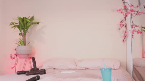    online show from January 10, 3:06 pm