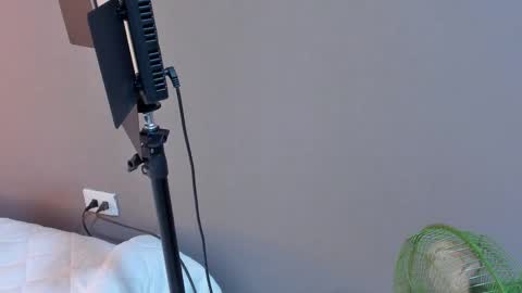 daniela online show from October 27, 1:34 am