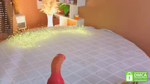 Trisha online show from November 23, 8:16 am