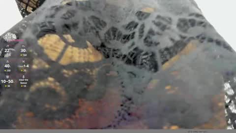 Snapshot of moxa_hot chatting on September 29, 2:55 pm moxa hot online show from September 29, 2:55 pm