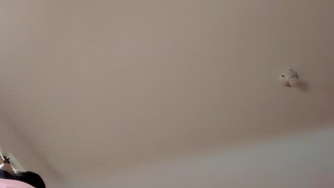 Annabelle  online show from February 3, 12:25 pm