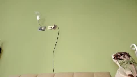 MsPurrfectLove online show from March 1, 4:44 pm