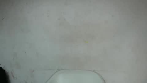 Snapshot of nastyhairy7 chatting on September 26, 1:42 pm nastyhairy7 online show from September 26, 1:42 pm