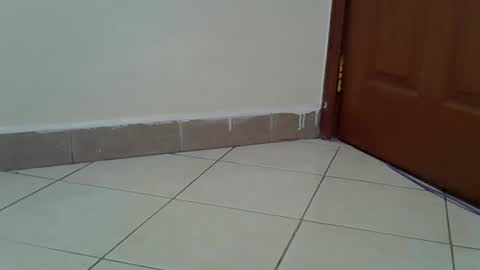 fathma online show from March 10, 5:55 am