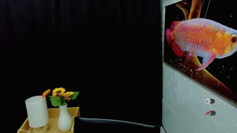 Celine online show from September 12, 2:12 am