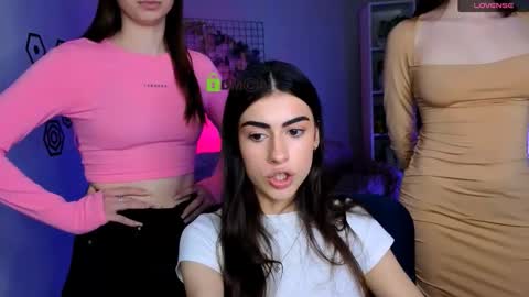 Meow online show from November 7, 11:16 am