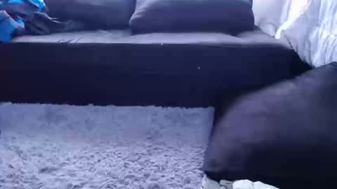 Daniela online show from February 20, 6:03 pm