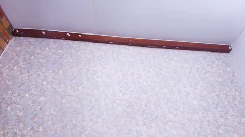 Nicol online show from November 21, 3:19 am