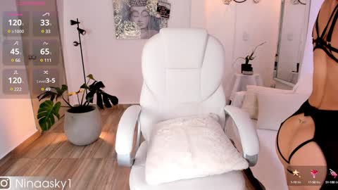 Snapshot of ninaa_sky chatting on December 12, 12:44 pm online show from December 12, 12:44 pm