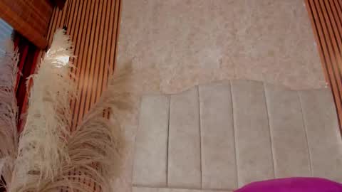 MAILY  online show from January 8, 8:24 pm