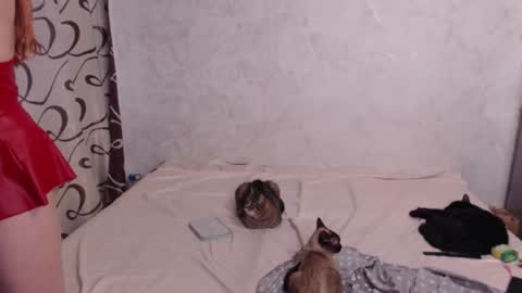 Olivia online show from June 24, 3:27 am