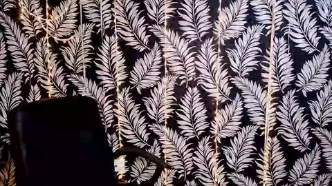 Kelly online show from November 29, 4:00 pm