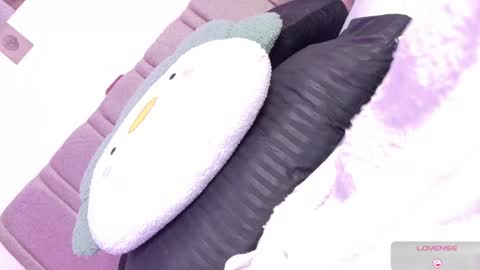 orchidekitty online show from February 27, 10:31 pm