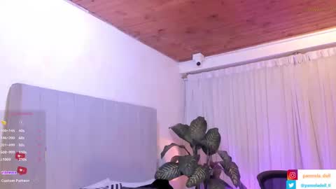 Snapshot of pamela_doll3 chatting on February 18, 4:48 am pamela online show from February 18, 4:48 am