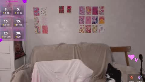 Snapshot of pawwsup1 chatting on December 21, 8:32 pm Allisses online show from December 21, 8:32 pm