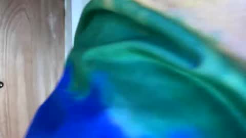 PHILLIP online show from November 19, 2:28 pm