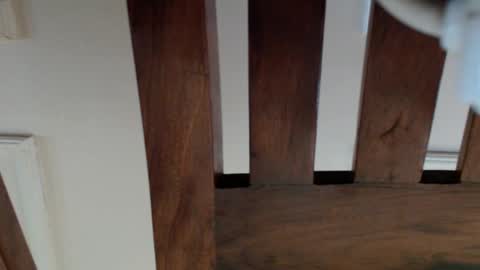 playboypetit online show from November 12, 11:30 am