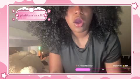stariette online show from August 6, 2:40 am