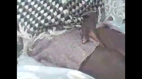 Prettykate online show from March 13, 7:48 pm