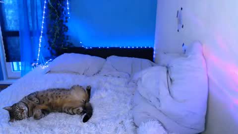 EsteticHouse online show from May 2, 1:36 pm