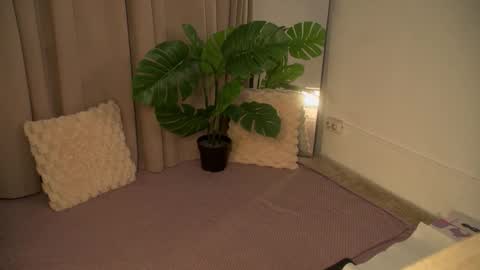 Darcy online show from November 27, 5:05 pm