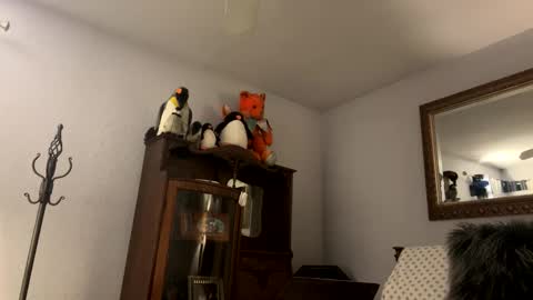    RAMONA Q   online show from December 4, 8:49 am