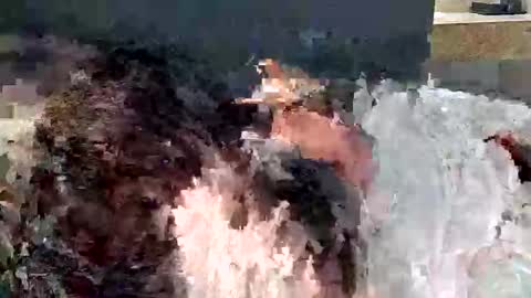 renaexx03 online show from September 28, 2:29 am