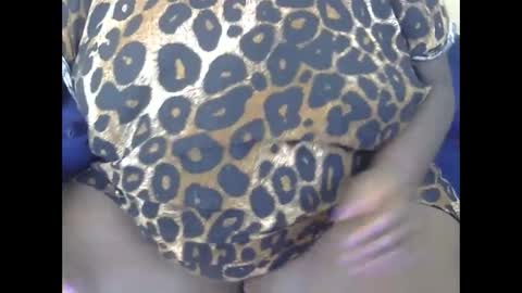 cookie online show from December 29, 10:01 am