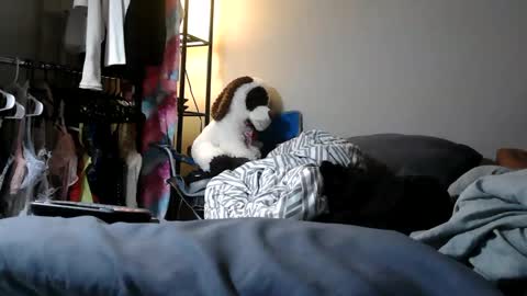 River Saint online show from March 11, 11:04 pm