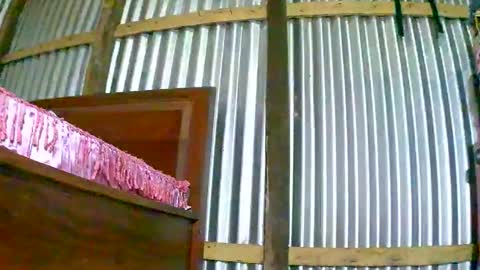 rosia online show from January 11, 1:16 pm