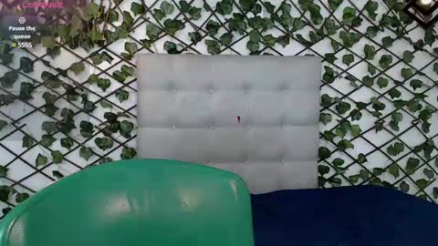 Rous online show from February 15, 3:31 am