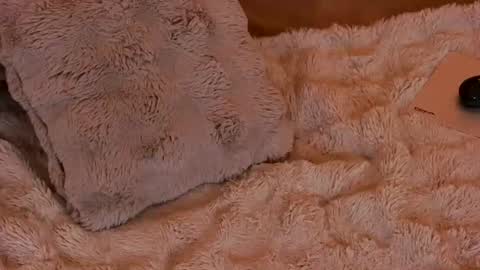 Ruby Luxe online show from July 8, 7:32 am