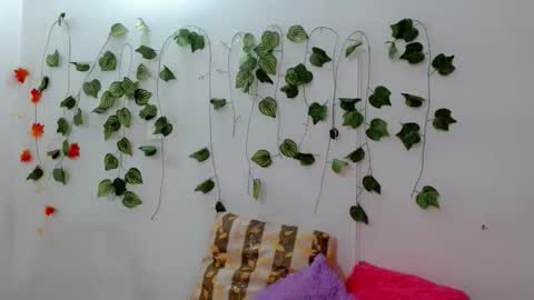 SABRI online show from November 20, 10:22 pm