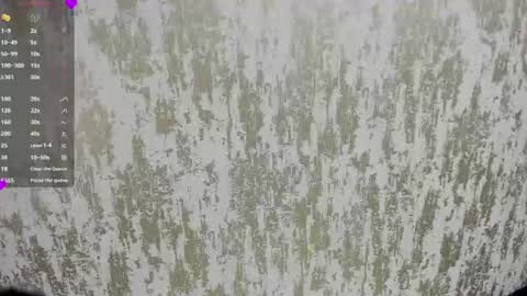 SAHIRA  online show from July 29, 12:27 pm