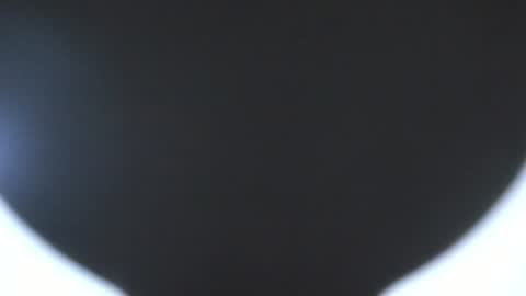 sam  online show from July 10, 7:42 am