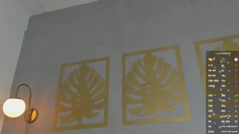 Sara online show from February 14, 2:07 am