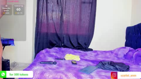 scarlet_tommy online show from November 12, 8:51 pm