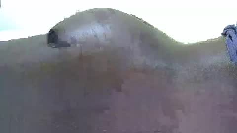 Loner online show from October 12, 6:49 am