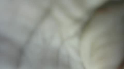 sexy pigeon online show from March 5, 10:33 am