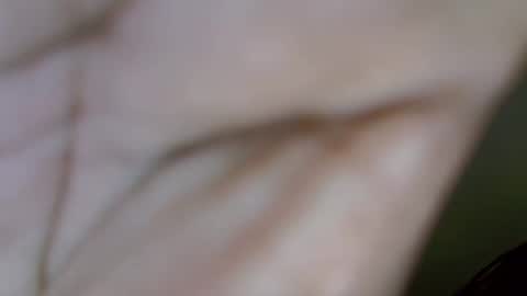 Snapshot of sexybutty1 chatting on October 5, 10:53 am sexybutty1 online show from October 5, 10:53 am