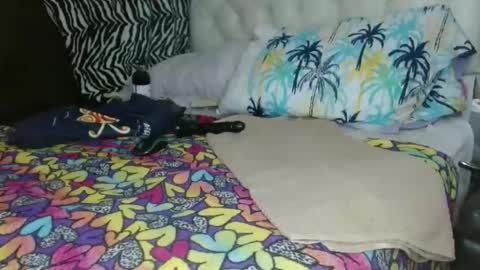 sharlot03 online show from February 6, 10:25 am