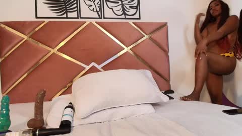 shelsie online show from February 18, 9:09 pm